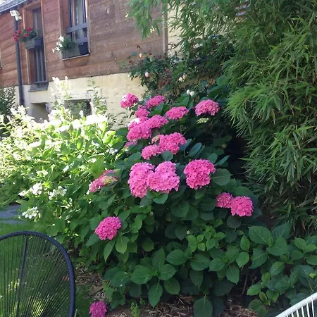 Madeleine & Cie 3* أنجير